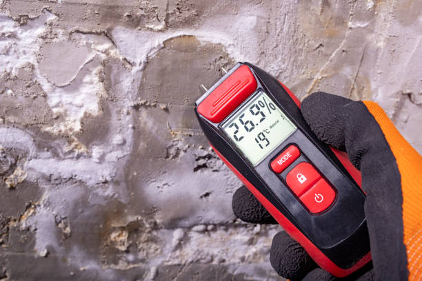 Best Office Mold Removal Services  in Ridgely, TN